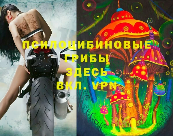 таблы Новозыбков