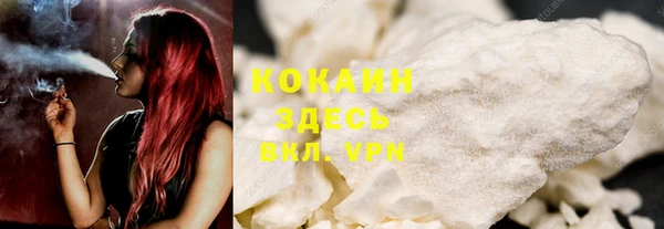 индика Новодвинск