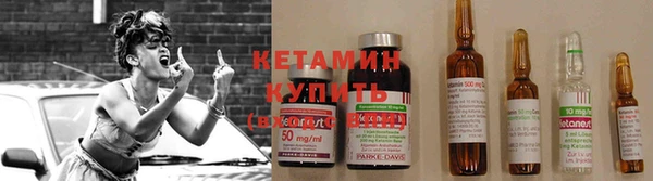 индика Новодвинск