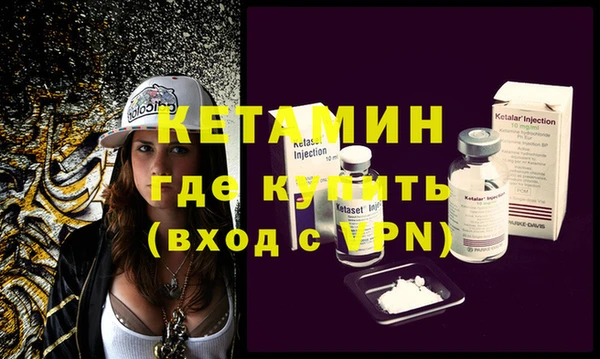 индика Новодвинск