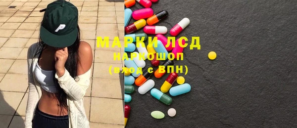 индика Новодвинск