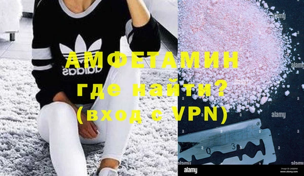 индика Новодвинск