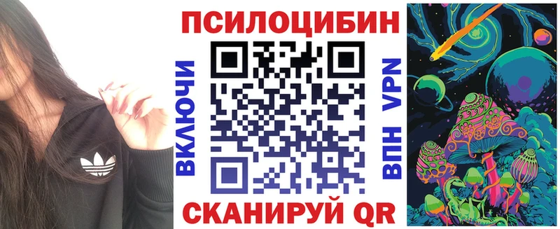 Псилоцибиновые грибы Cubensis Усолье